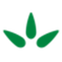 Manning & Napier logo